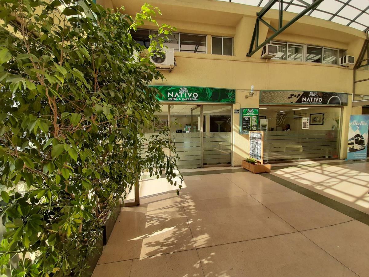 Nativo Hotel Y Cafeteria Talca (Maule) Exterior foto